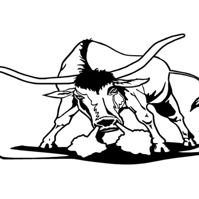 Bull
